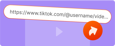 Copy the TikTok Link